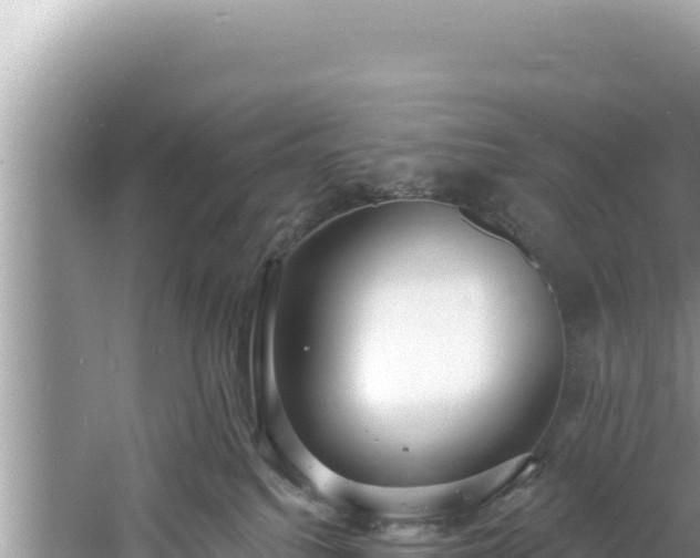 X0000060810088200511171320