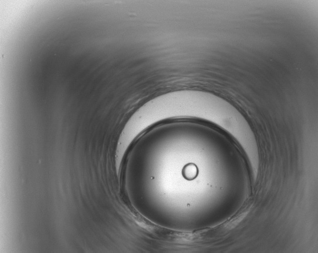 X0000060810096200511171320