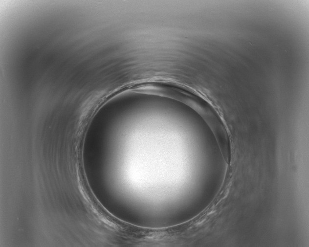 X0000060810097200511171319