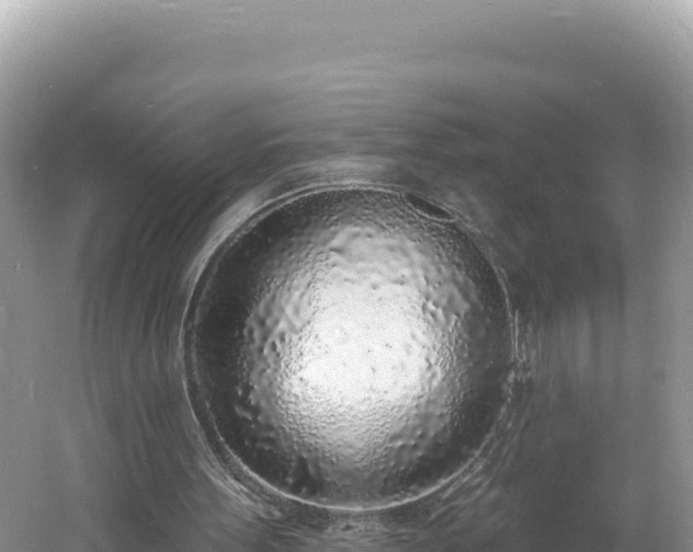 X0000060810099200511171319