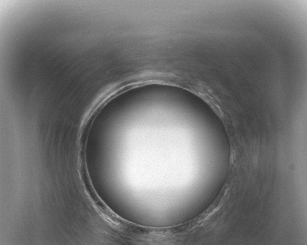 X0000060810101200511171319