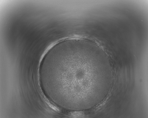 X0000060810102200511171319