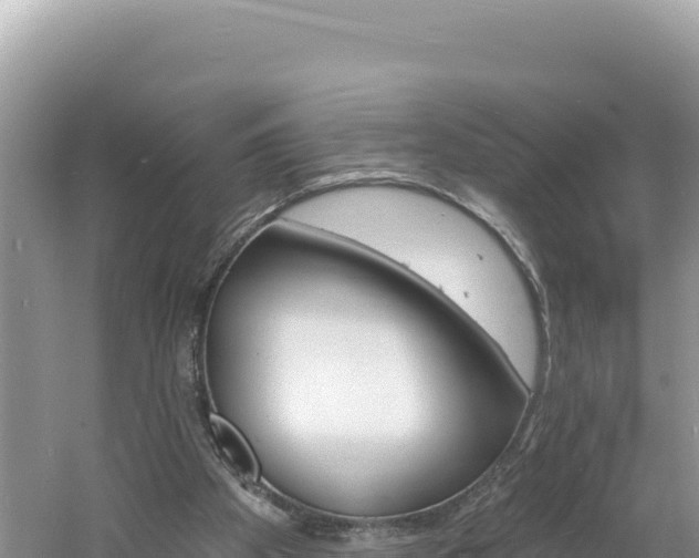 X0000060810105200511171319