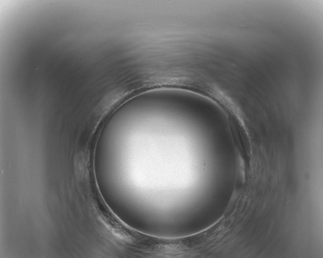 X0000060810107200511171319