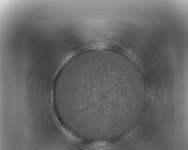 X0000060810110200511171319