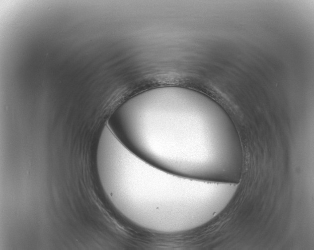 X0000060810117200511171319