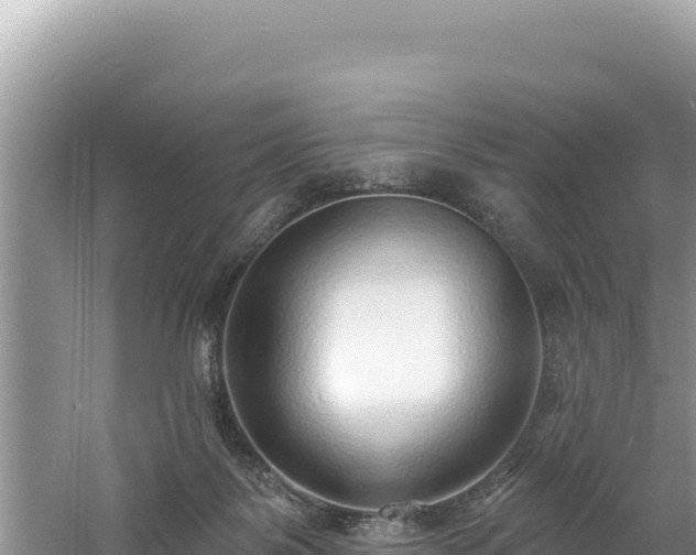 X0000060810123200511171318