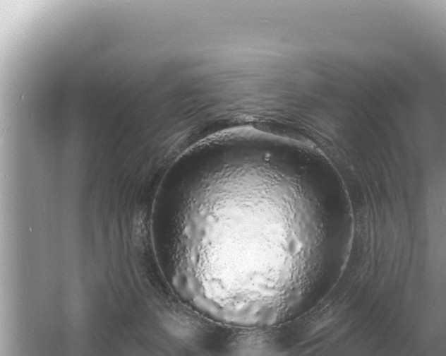 X0000060810127200511171318