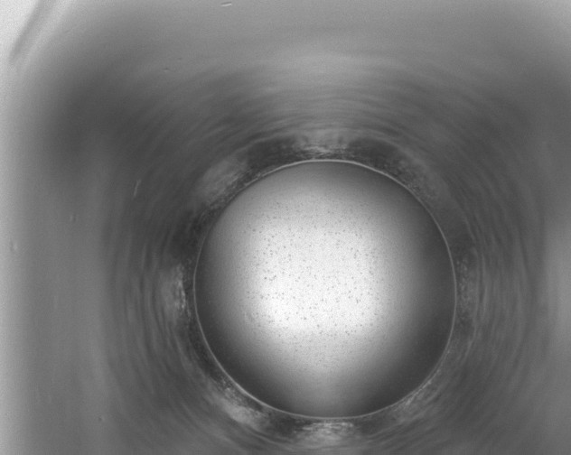 X0000060810128200511171318