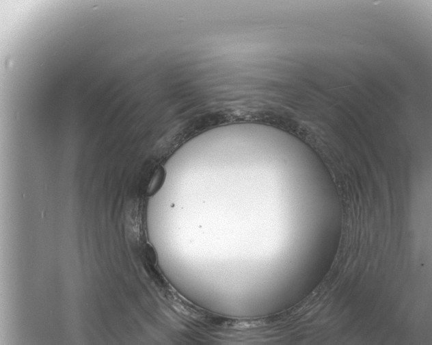 X0000060810129200511171318