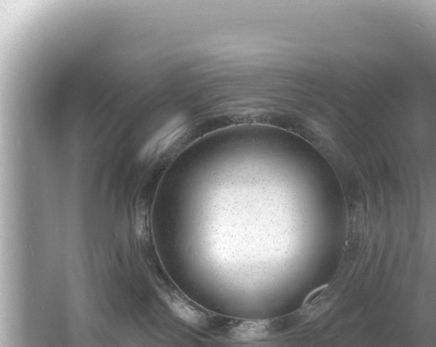 X0000060810138200511171318