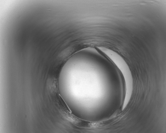 X0000060810141200511171318