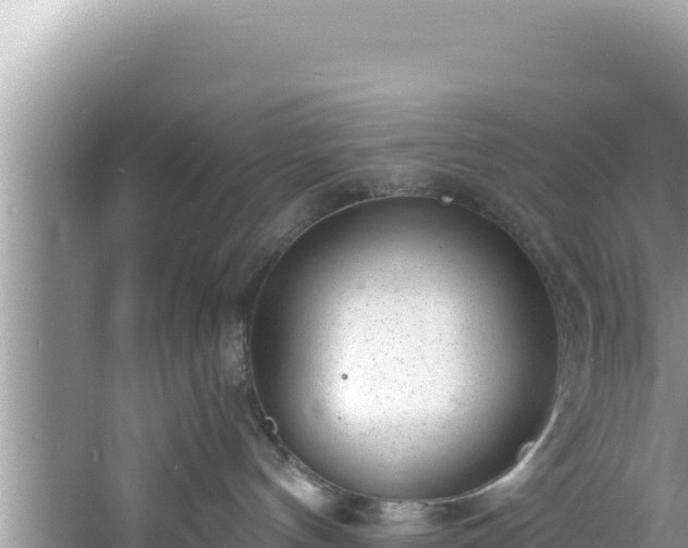 X0000060810144200511171318