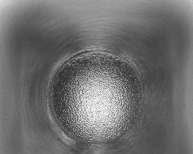 X0000060810145200511171317