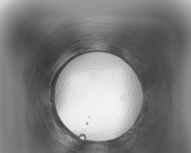 X0000060810146200511171317