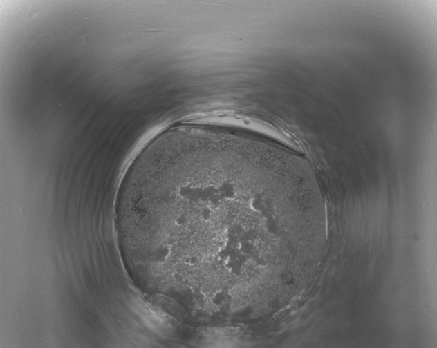 X0000060810147200511171317