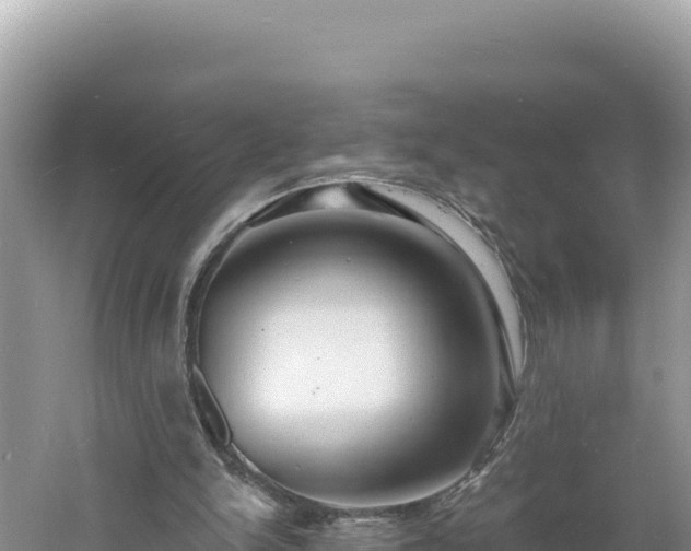 X0000060810150200511171317