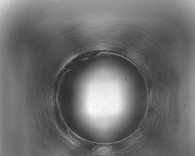 X0000060810156200511171317