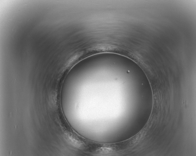 X0000060810159200511171318