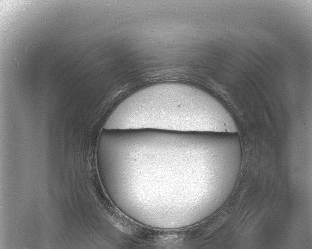 X0000060810161200511171318