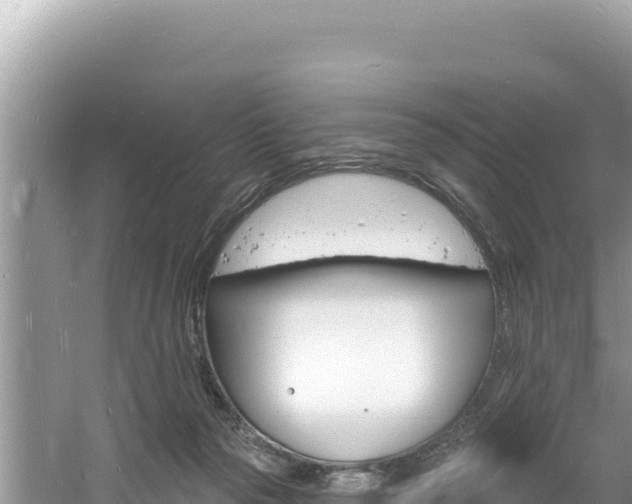 X0000060810169200511171318