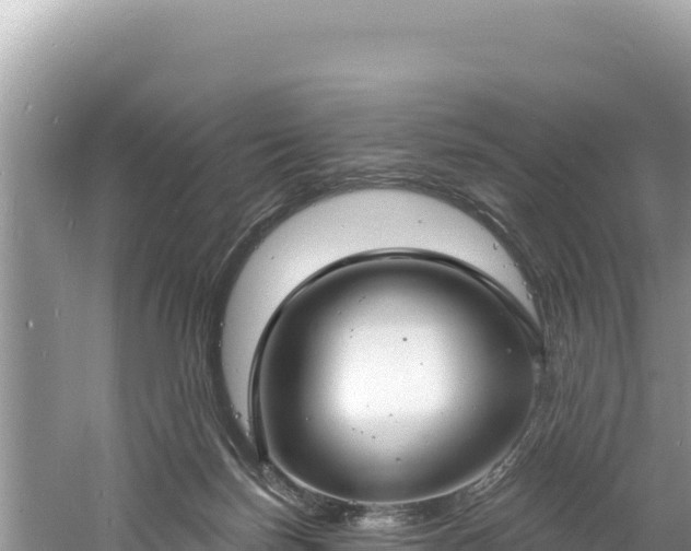 X0000060810171200511171318