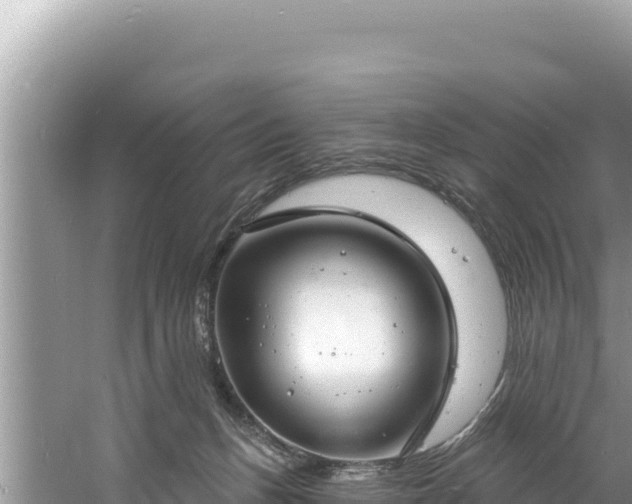 X0000060810175200511171318