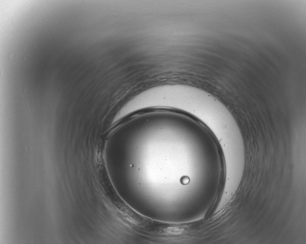 X0000060810176200511171318