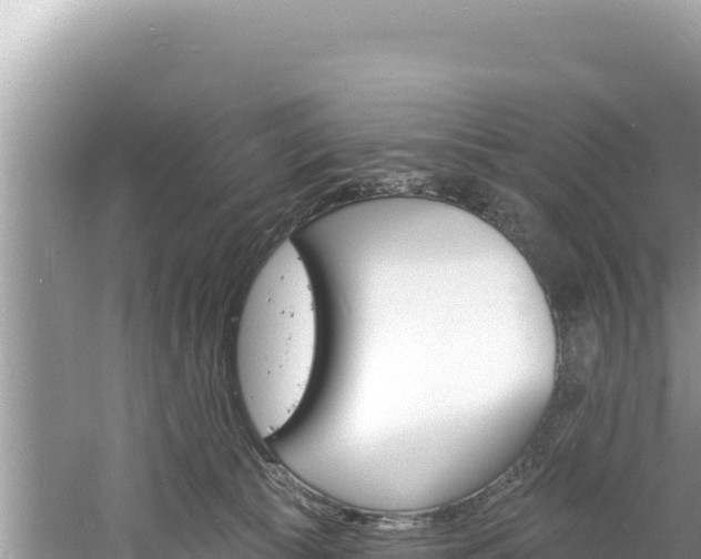 X0000060810177200511171318