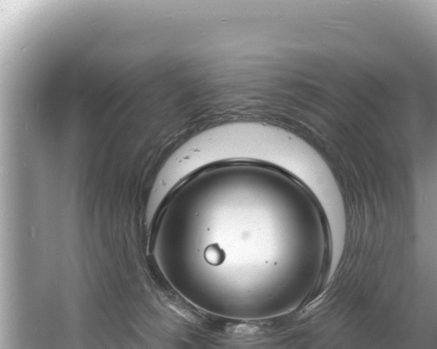 X0000060810180200511171318