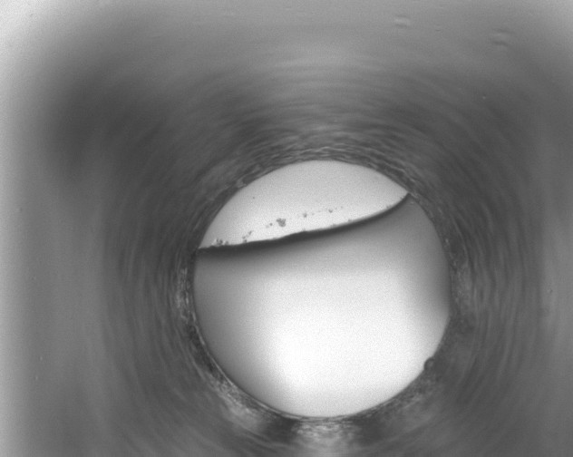 X0000060810181200511171318