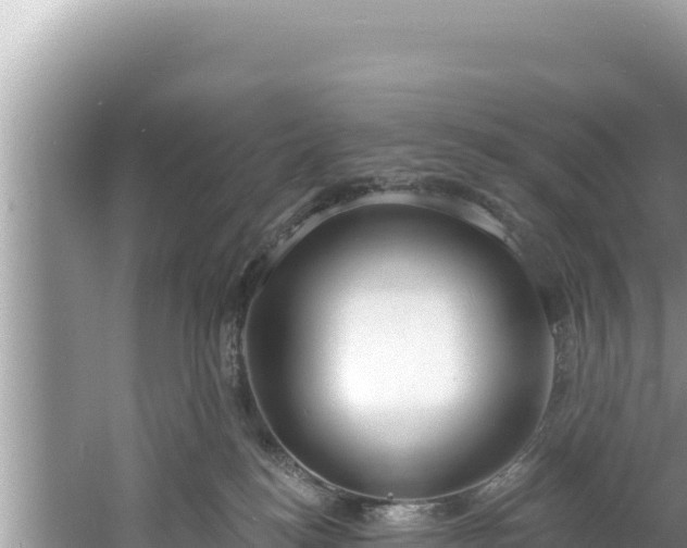 X0000060810184200511171318