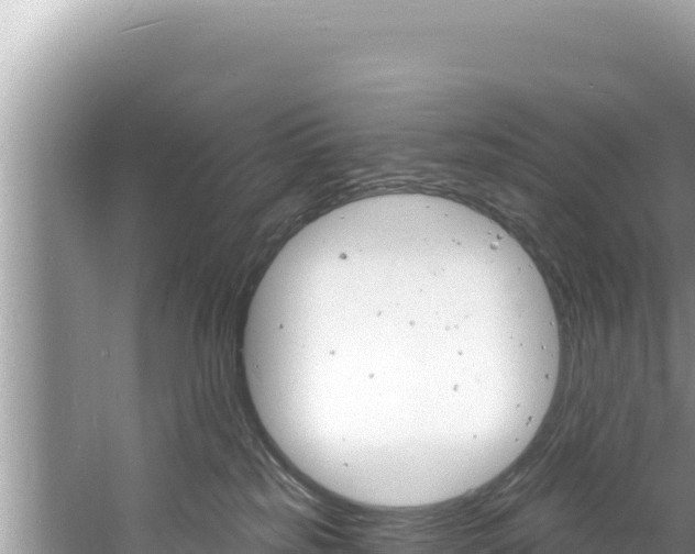 X0000060810185200511171318