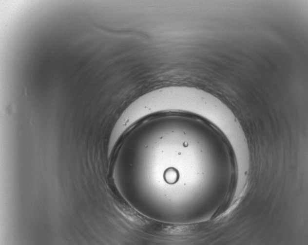 X0000060810186200511171318