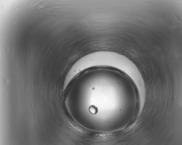 X0000060810188200511171318