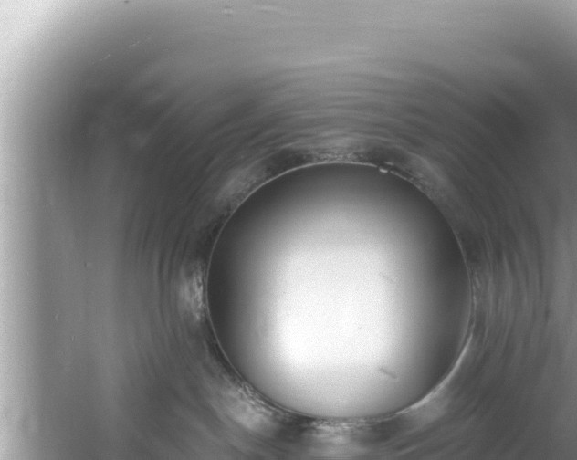 X0000060810190200511171318