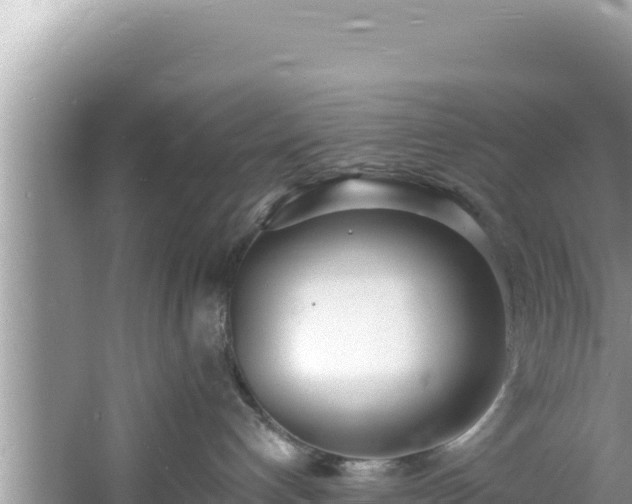 X0000060810192200511171318