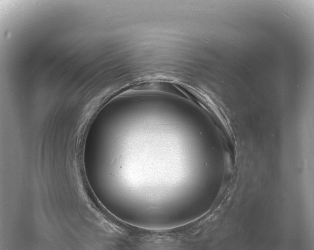 X0000060810193200511171317