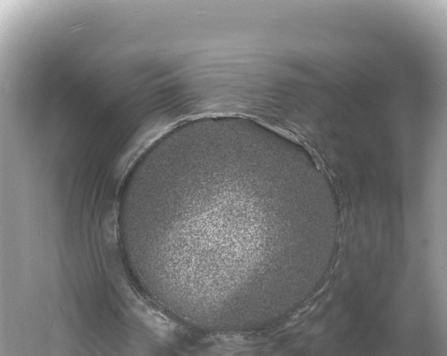 X0000060810194200511171317