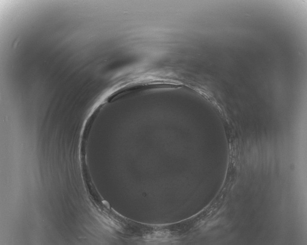 X0000060810196200511171317