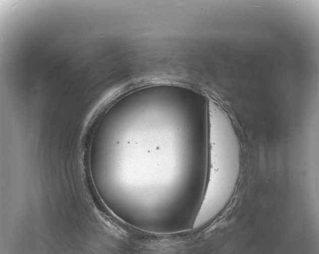 X0000060810197200511171317