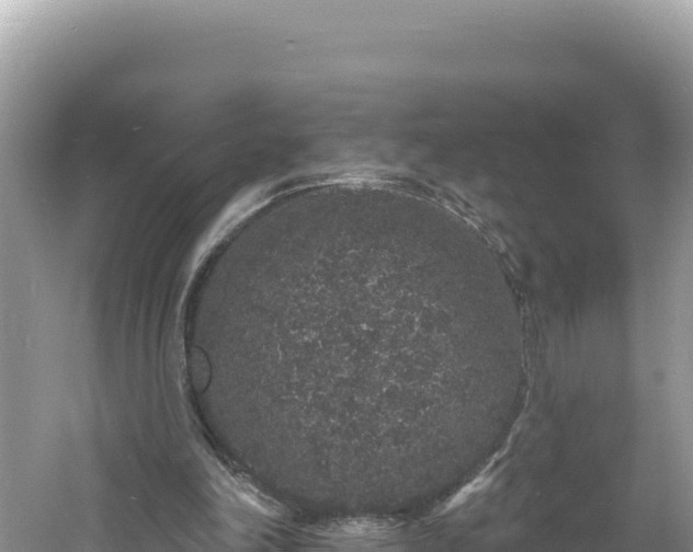 X0000060810198200511171317