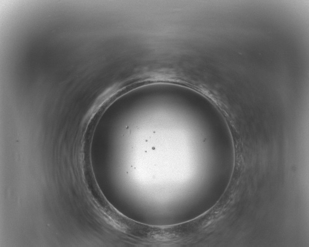 X0000060810199200511171317