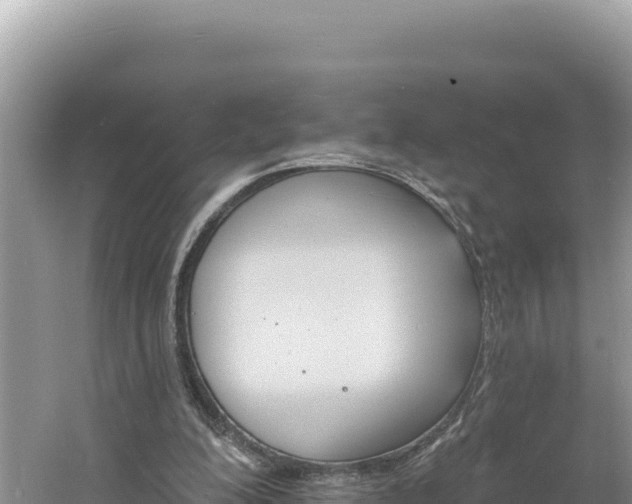 X0000060810200200511171317