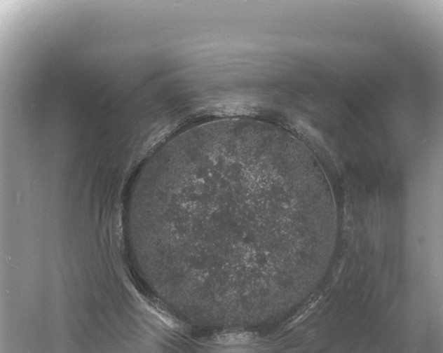 X0000060810202200511171317