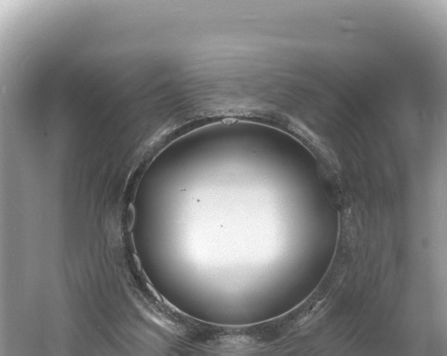 X0000060810203200511171317