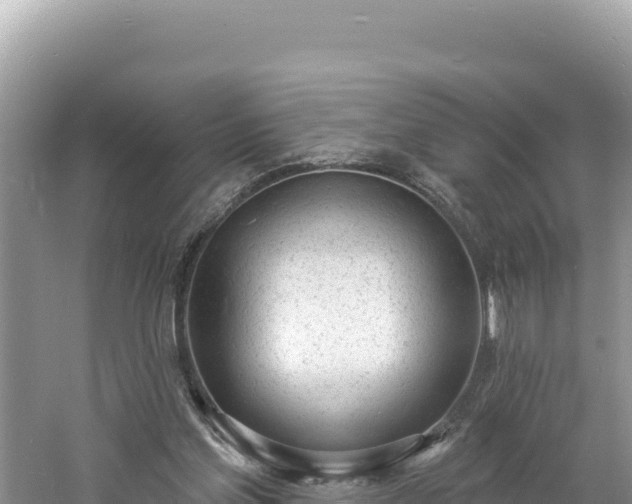 X0000060810205200511171317