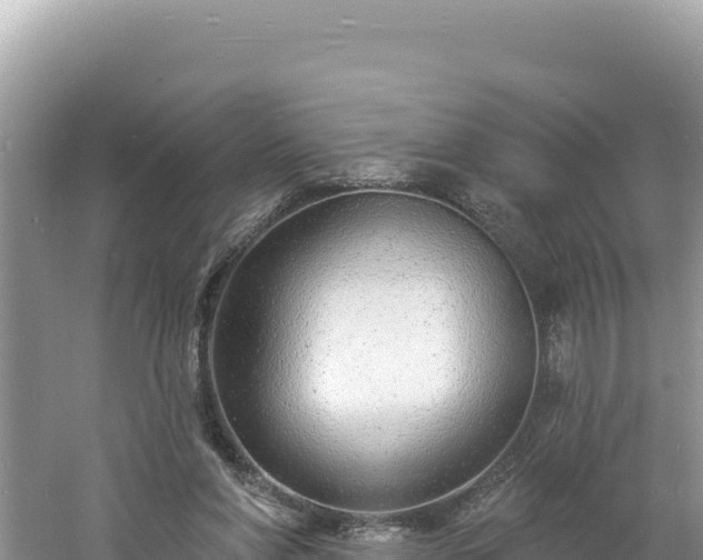 X0000060810206200511171317