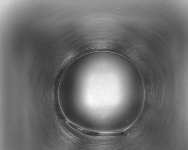 X0000060810207200511171317