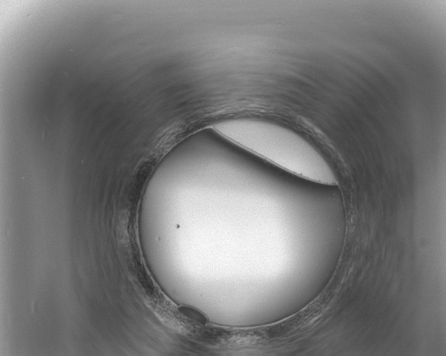 X0000060810209200511171317